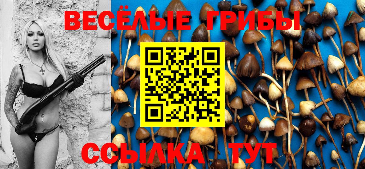 Галлюциногенные грибы Psilocybe Алапаевск