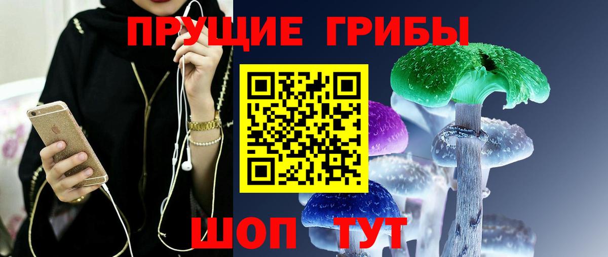 Алапаевск  Псилоцибиновые грибы MAGIC MUSHROOMS  Галлюциногенные грибы Cubensis  Вход с VPN 